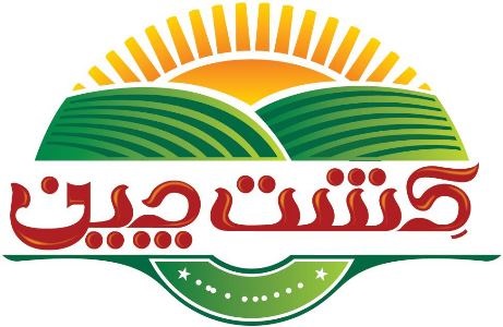 کشت چین